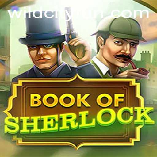 Exploring the Intricacies of BookOfSherlock: A WildCity Adventure
